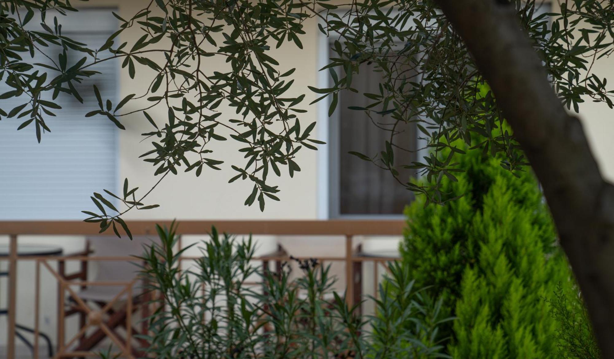 Guesthouse Adonis Káto Loutrákion Extérieur photo